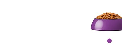 ageas pet insurance reviews uk|Ageas Pet Insurance .